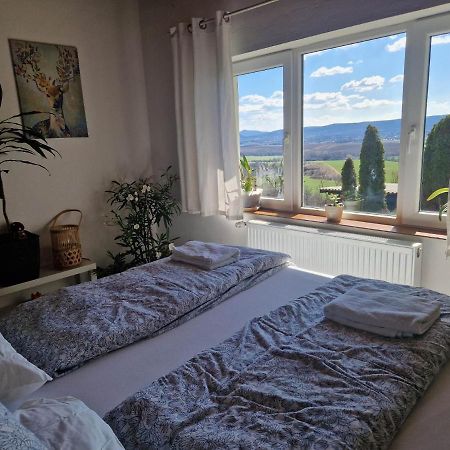 Apartament Panorama Apartman Pilisszanto Zewnętrze zdjęcie